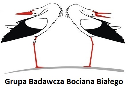 Logo grupy badawczej bociana białego
